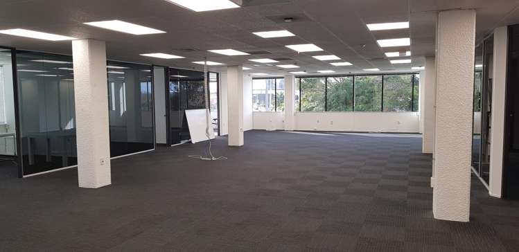 12 Walls Road Penrose_3