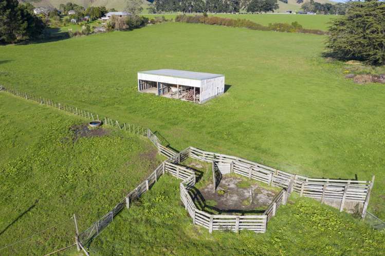 252 Wallace Road Koputaroa_17