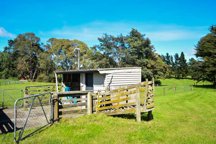 90 Millars Road Longbush_23