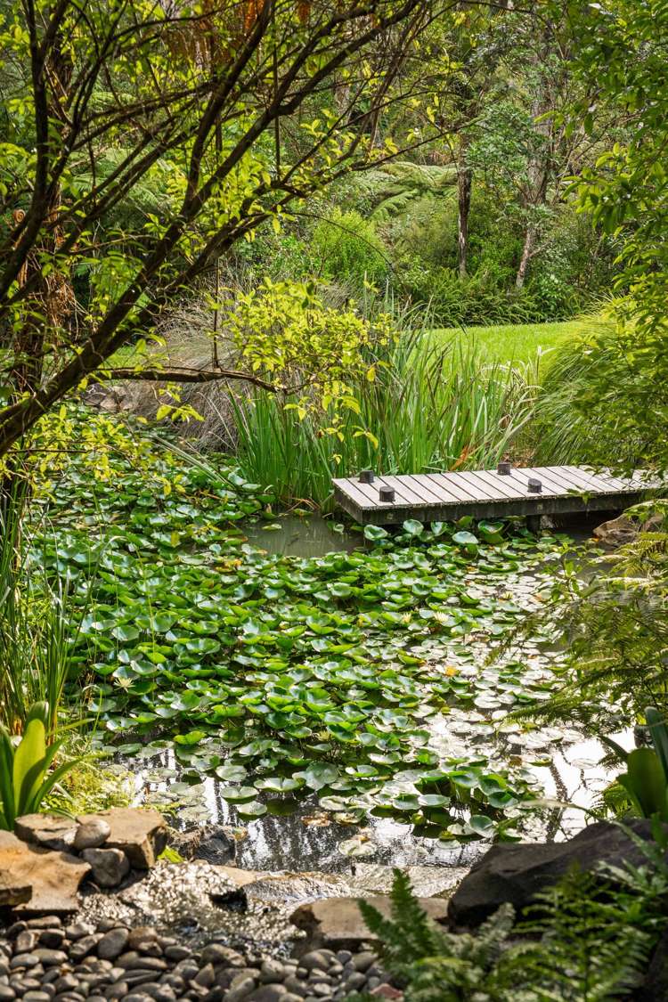 99D Carter Road Oratia_25