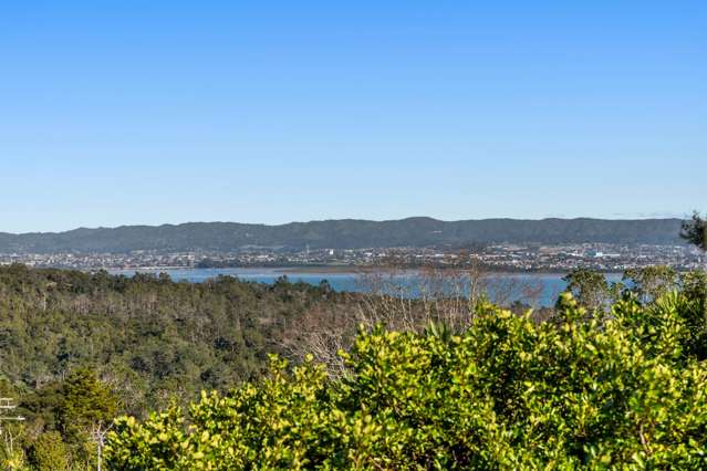 2 Kauri Road Birkenhead_3