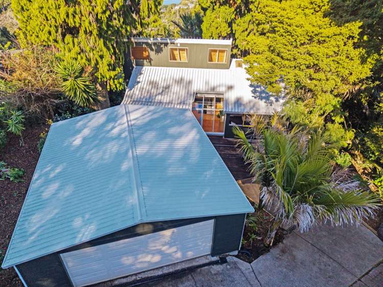 214A Hillsborough Road Hillsborough_21