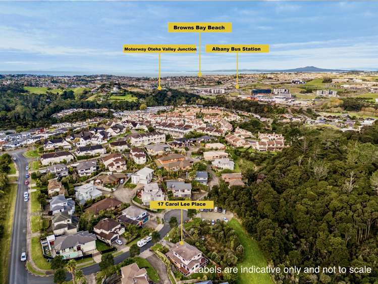 17 Carol Lee Place Albany Heights_34