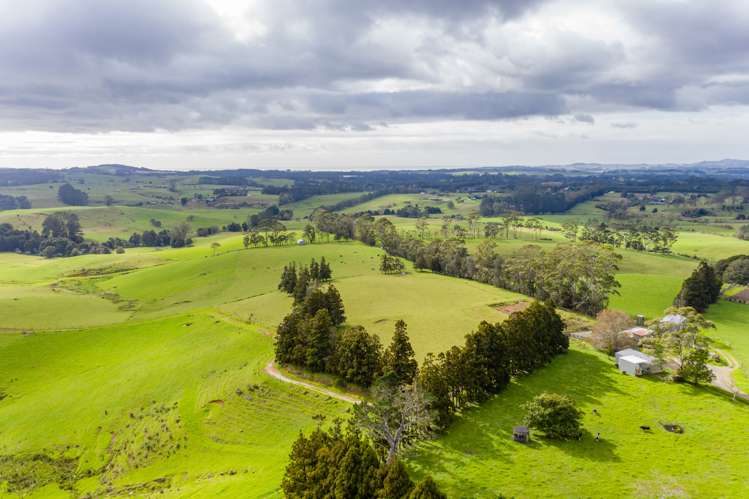 460 Pungaere Road Kerikeri Surrounds_12