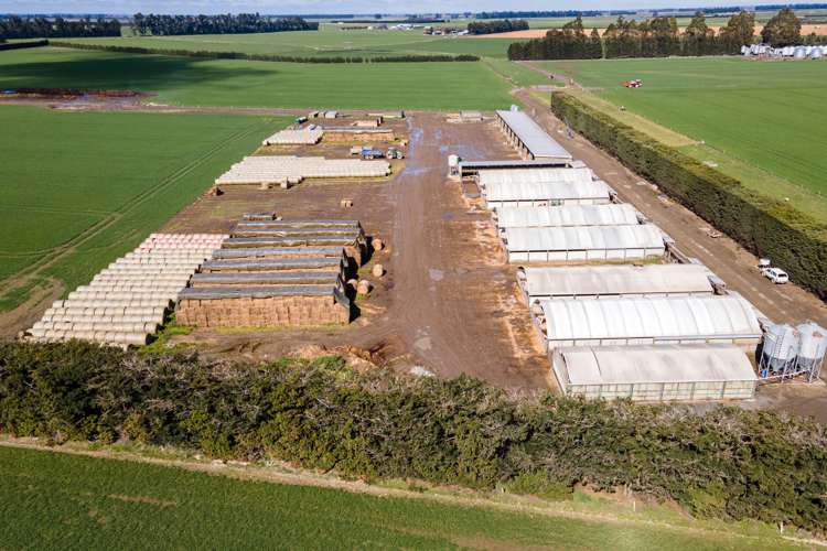 319 Methven Chertsey Road Methven_15