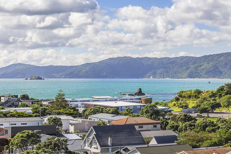 49 Mantell Street Seatoun_1