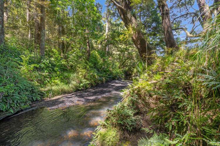 710 Sommerville Road Tangowahine_29