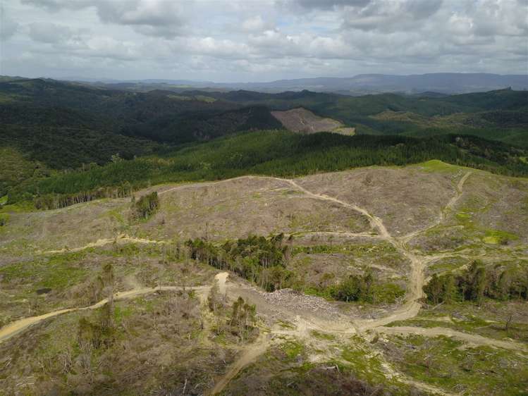 Taheke Road Horeke_8