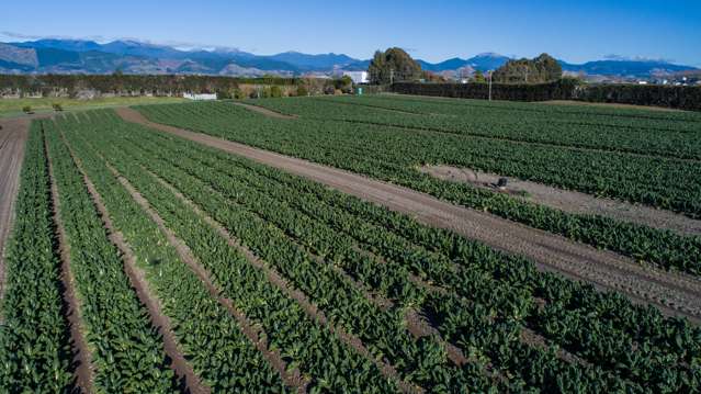 480 Appleby Highway Appleby_3