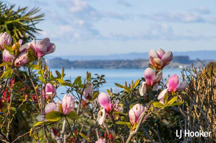 21 Koutunui Road Athenree_3