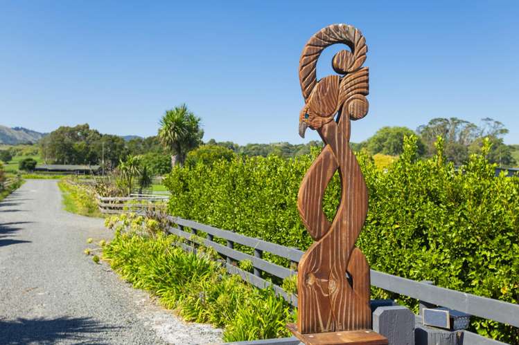 562 Back Ormond Road Makauri_48