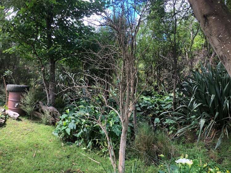 27 Haswell Street Eketahuna_19