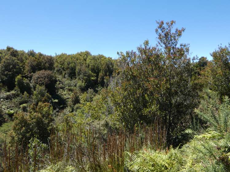 120 Brickfield Road Hokitika_6