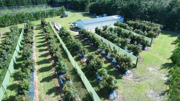 65 Elingamite Drive Pukenui_6