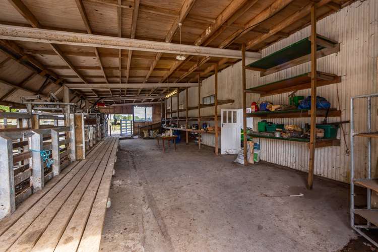 589 Coutts Island Road Coutts Island_19