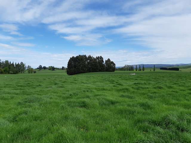 336 Mathesons Corner Road West Otago Surrounds_2