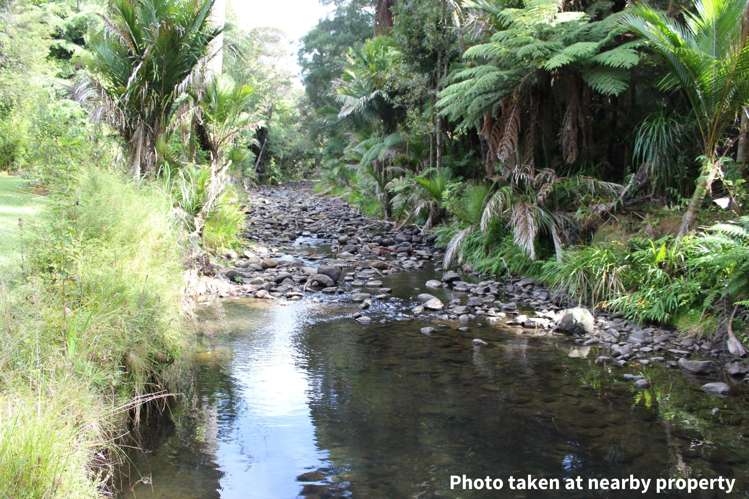 411a Henderson Valley Road Henderson Valley_18