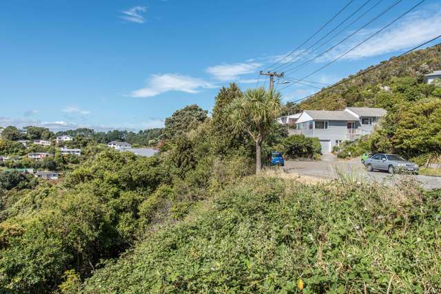 11 Voltaire Street Karori_2