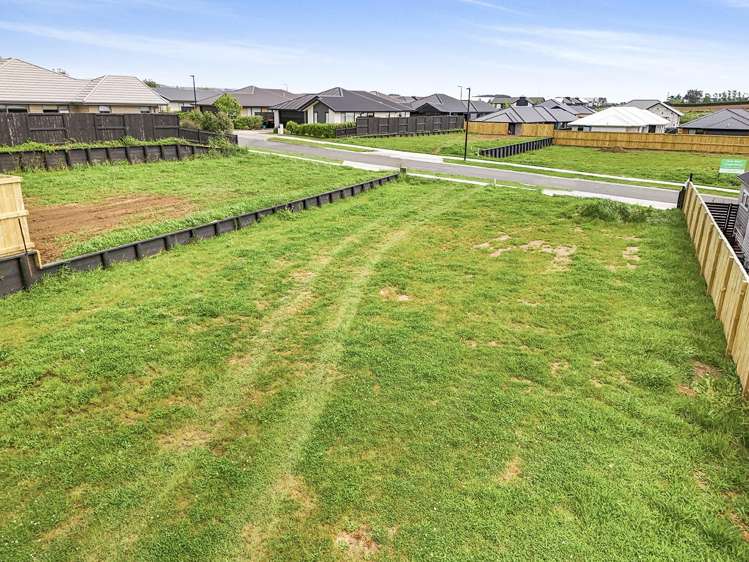 24 Harp Street Morrinsville_7