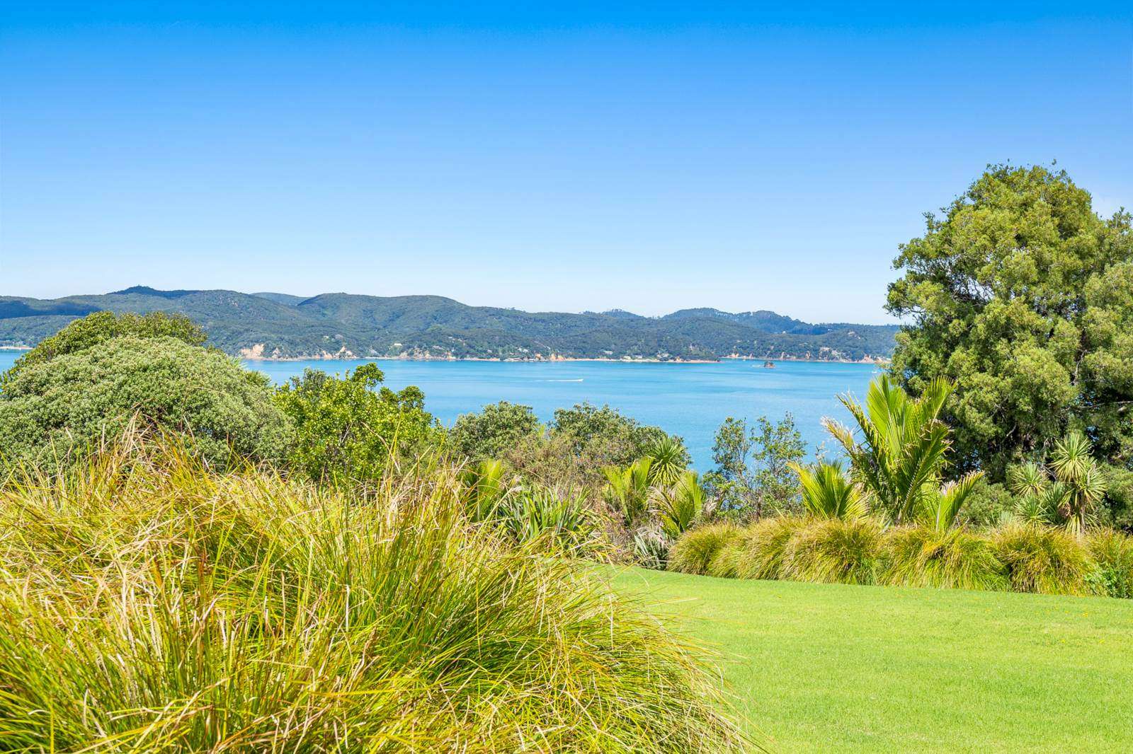 1075 Takatu Road Tawharanui Peninsula Rodney Houses for Sale