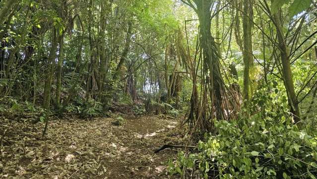 Lot 2/72 Belk Road South Omanawa_3