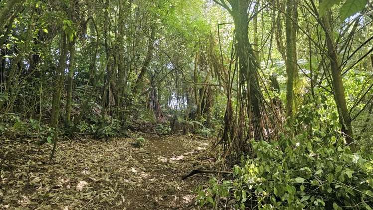 Lot 2/72 Belk Road South Omanawa_3