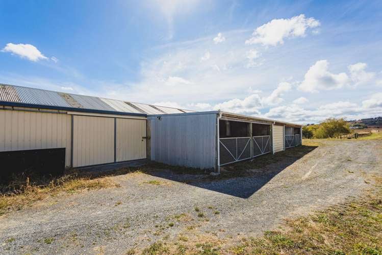 235B Tramway Road Pukekohe_19