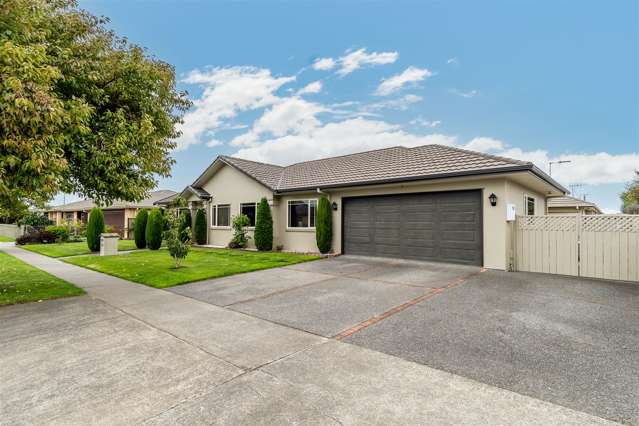 204 Guppy Road Taradale_1