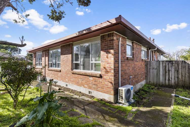 159a Campbell Road One Tree Hill_10