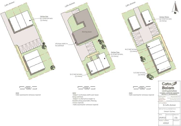 8 Callis Avenue Opaheke_24