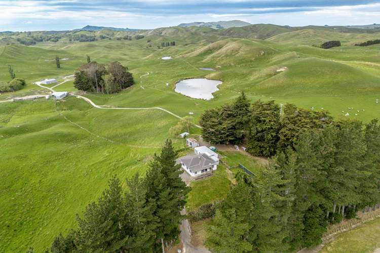 300 Pattison Road Waipukurau_2
