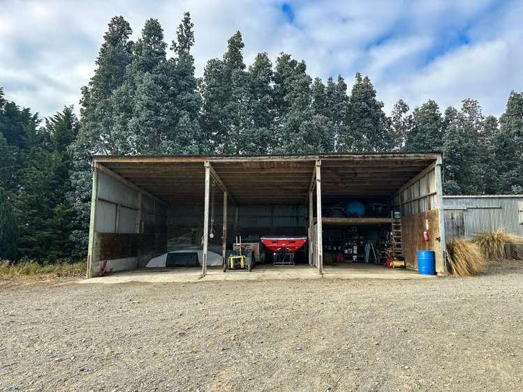 318 Waipango Ermedale Road Gummies Bush_13