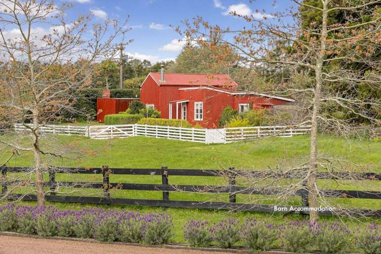 61 Farrand Road Kumeu_28