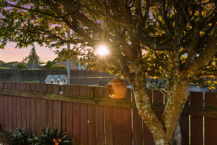 213a Fifteenth Avenue Tauranga South_26