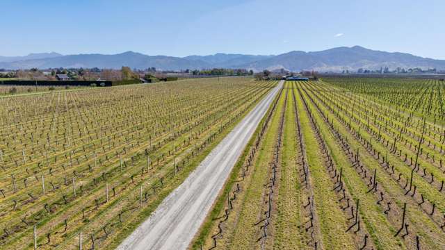 Mills and Ford Road East Grovetown_4