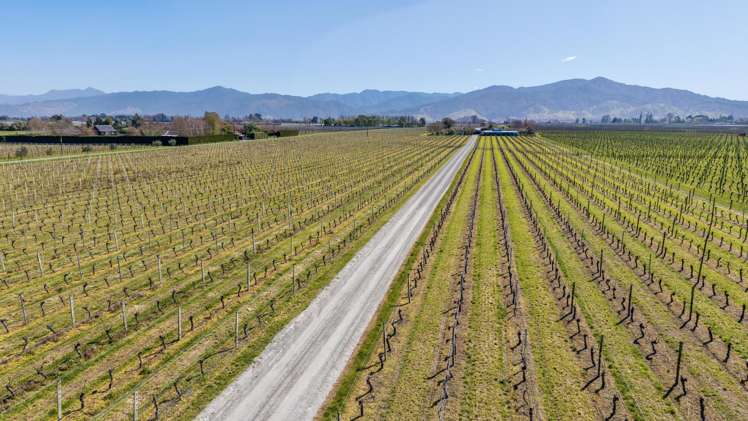 Mills and Ford Road East Grovetown_4