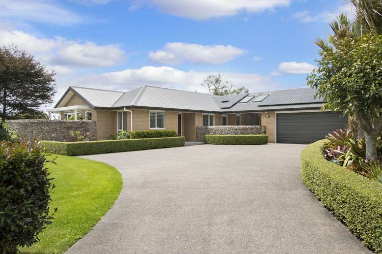 101 Woodland Road Katikati_4