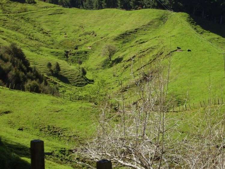 673 Hokoroa Road Tolaga Bay_5