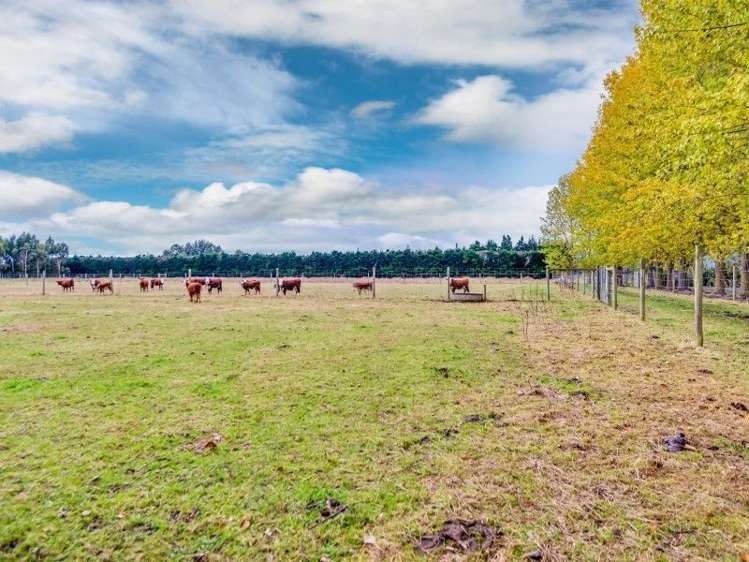 133 Easterbrook Road Fernside_12