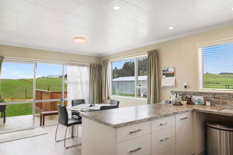 319 Collins Road Gore Surrounds_12