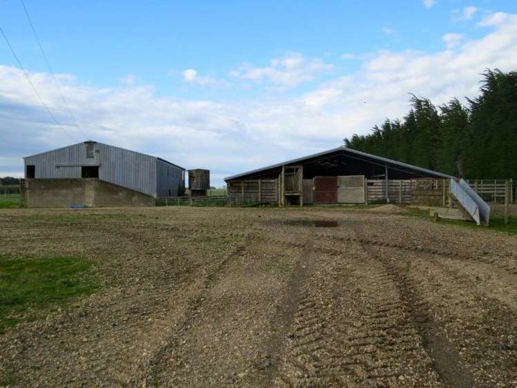 150 Clark Road Winton Surrounds_6