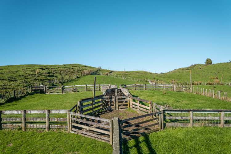 229 Rangikohua Road Tolaga Bay_6