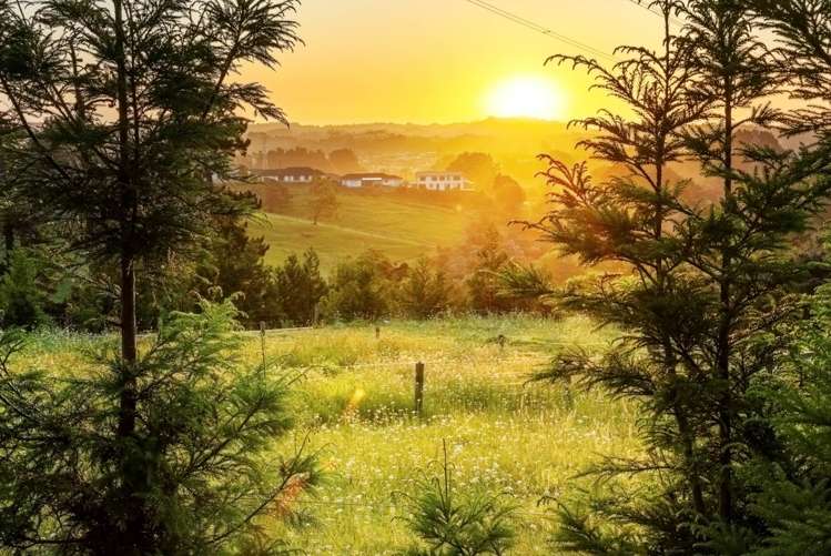 43d Terry Smyth Drive Kumeu_46