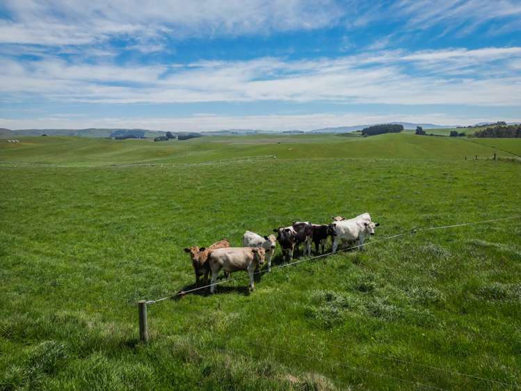 447 Serpentine Valley Road Waimate_14