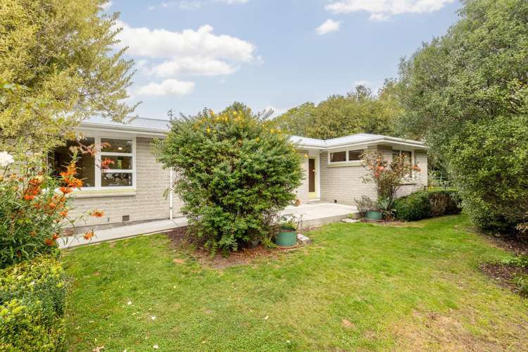 16a Canberra Place Redwood_17