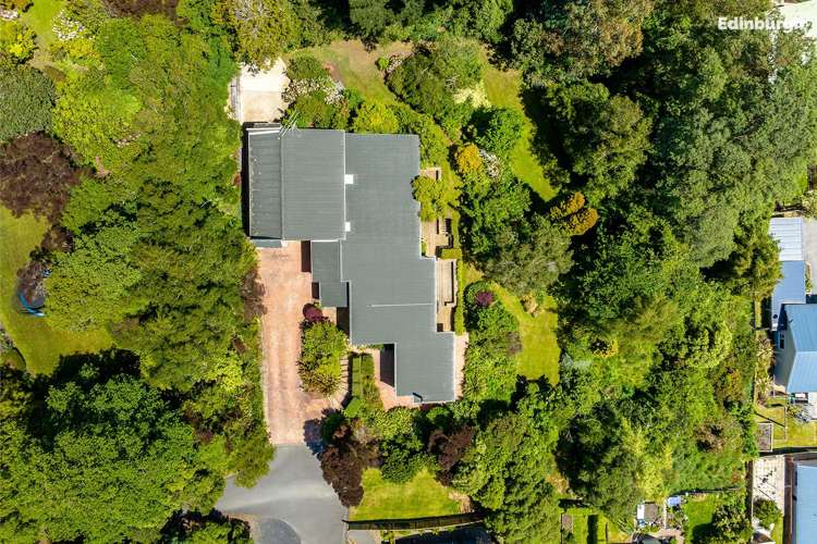 1 Leyden Terrace Andersons Bay_47