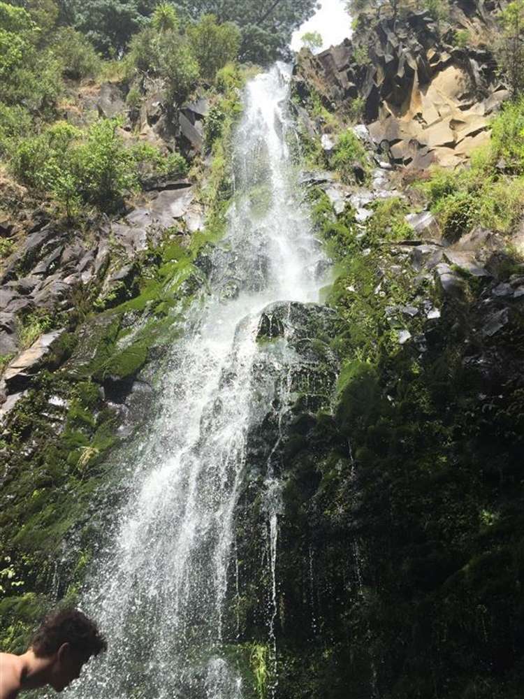 204 Hunt Road Pukekawa_20