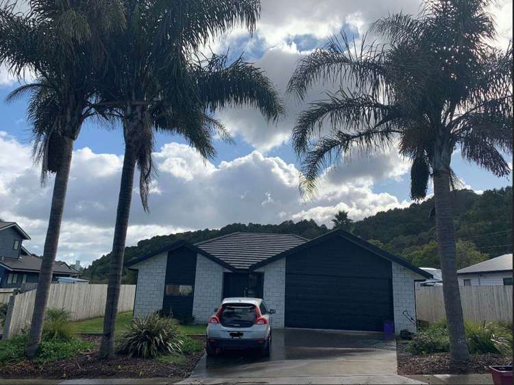 4 Tropicana Drive Tamaterau_0