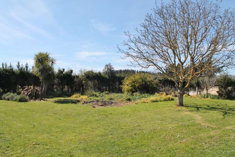 47 Munro Road Cheviot_11