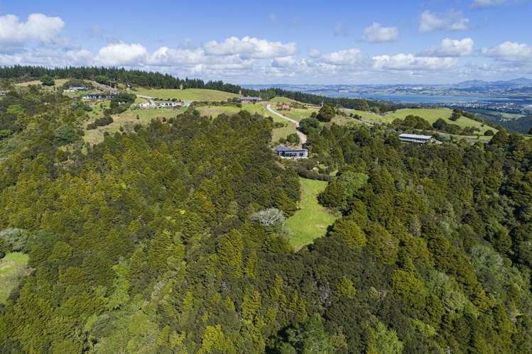 453 Mount Tiger Road Whareora_21